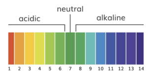 What Is In Alkaline Water Alkaline levels