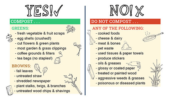 How To Compost In A Bin