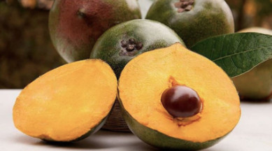 what is lucuma - lucuma fruit