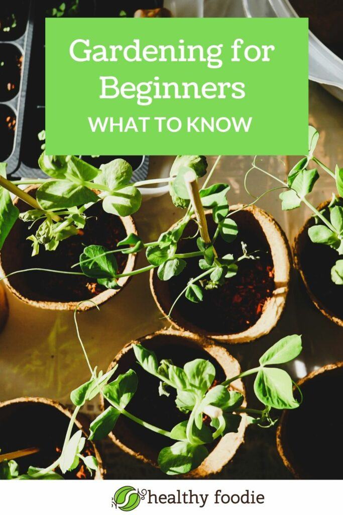 Gardening For Beginners | Healthy Foodie - Wellness