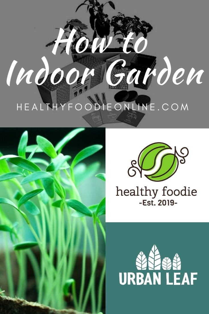 How to Indoor Garden 