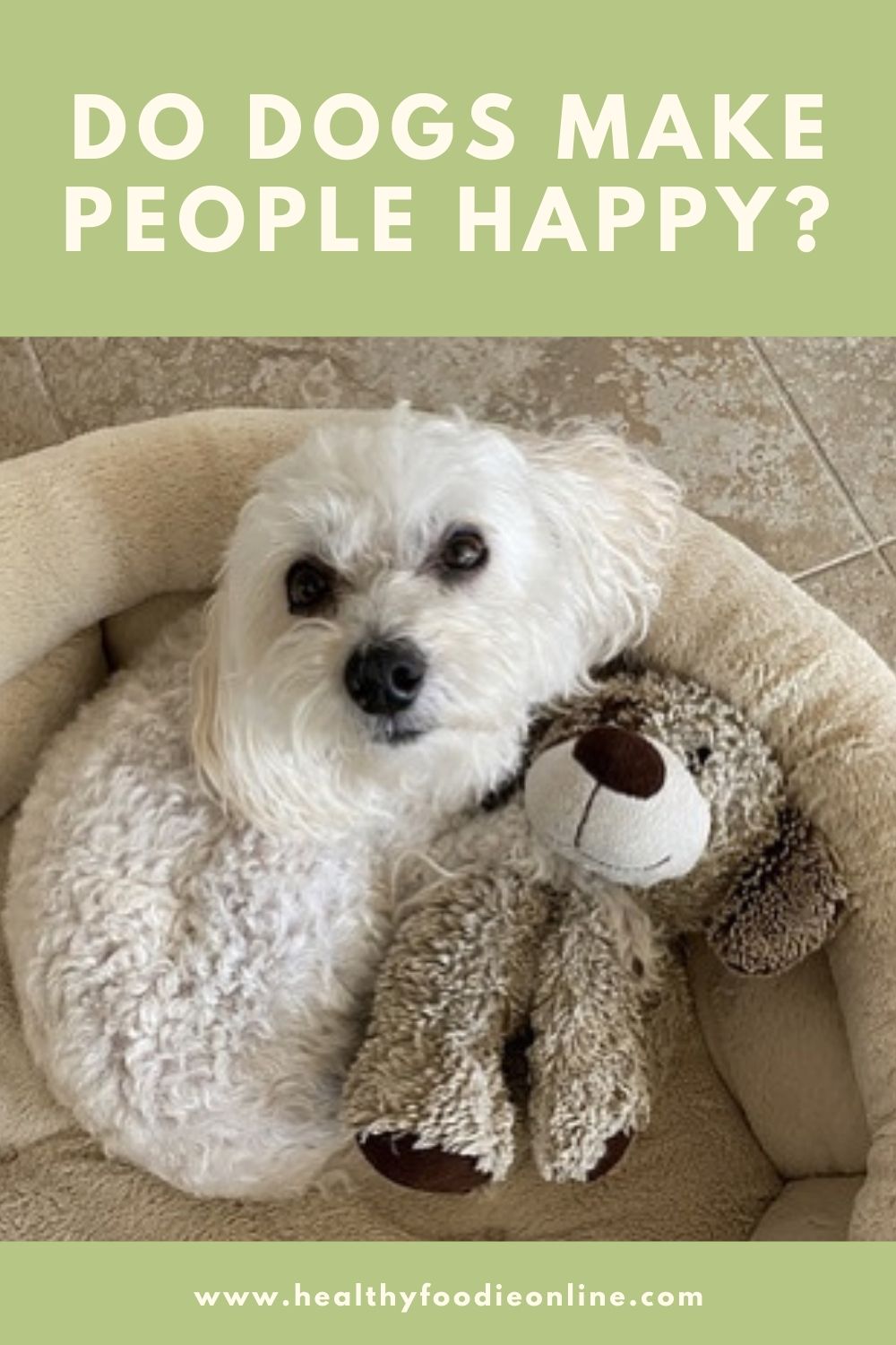 Do Dogs Make People Happy?