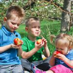 are apples good for you? kids eating apples