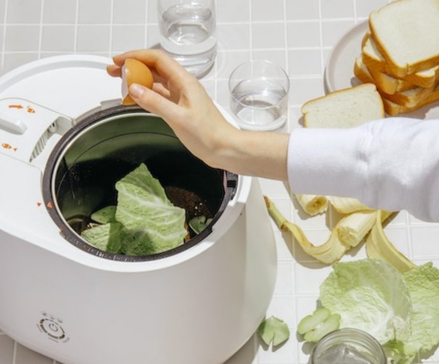 What is Lomi Kitchen Composter
