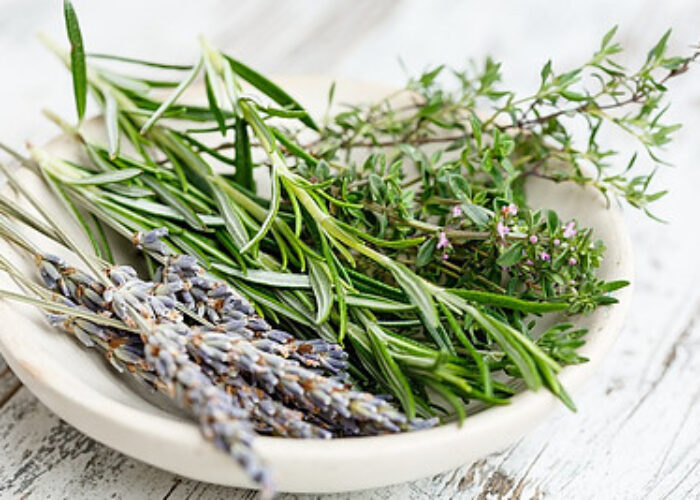 Is Rosemary Good For You?
