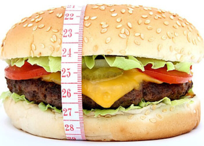 Healthiest Cheeseburger in America